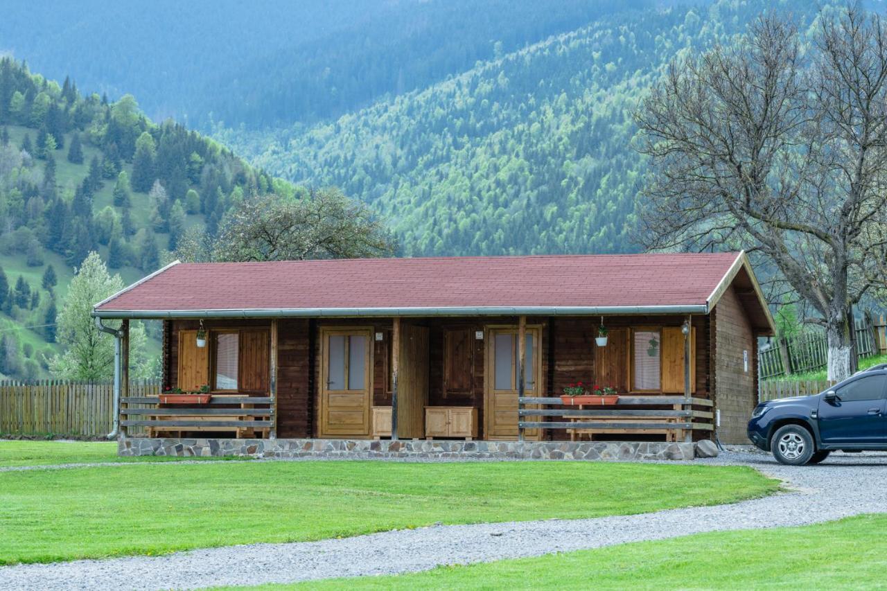 Biotour Camping & Restaurant Ghimeş-Făget Dış mekan fotoğraf