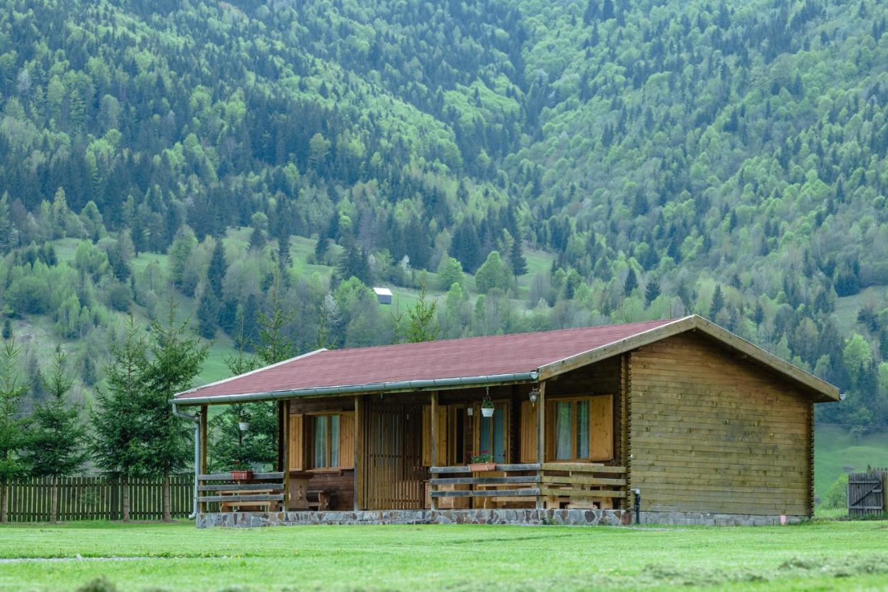Biotour Camping & Restaurant Ghimeş-Făget Dış mekan fotoğraf